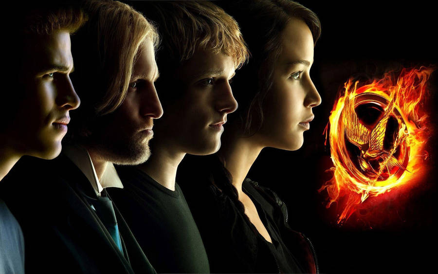 Hunger Games Movie Poster h